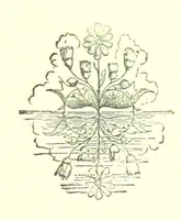 An illustration from Hanbury Mills. A study of contrasts. By the author of “Lady Betty” [C. R. Coleridge]. With ... illustrations by H. W. Petherick (1872)