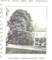 Picture 27 of 80 from More Colonial Homesteads and their stories (1899), leaf 175