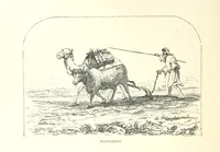 An illustration from Illustrated letters to my children from the Holy Land. Eastern manners and customs depicted in ... sketches from life (1880)