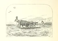 An illustration from Illustrated letters to my children from the Holy Land. Eastern manners and customs depicted in ... sketches from life (1880)