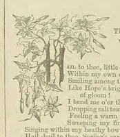 An illustration from Wayside Pictures, Hymns, and Poems ... With a portrait of the author (1874)