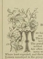 An illustration from Wayside Pictures, Hymns, and Poems ... With a portrait of the author (1874)