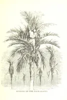 An illustration from Spain. (Sketch of the 'History of Spain') ... Illustrations (1881)