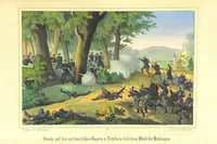 Picture 36 of 39 from Illustrirtes Gedenkbuch der Kriegsereignisse des Jahres 1866, etc (1868), leaf 365