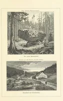 An illustration from Wildbad ... Illustrated by H. Drück [and others], etc (1888)