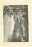 An illustration from Wildbad ... Illustrated by H. Drück [and others], etc (1888)
