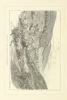 An illustration from Wildbad ... Illustrated by H. Drück [and others], etc (1888)