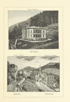 Picture 19 of 34 from Wildbad ... Illustrated by H. Drück [and others], etc (1888), leaf 87