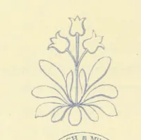 Picture 2 of 65 from Memorials of Holdenby (1868), leaf 14