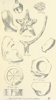 Picture 9 of 65 from Memorials of Holdenby (1868), leaf 35
