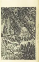 An illustration from Hastings Guide. Second edition. A concise ... sketch of Hastings, Winchelsea, and Rye, etc (1827)