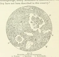 An illustration from An Introduction to the study of Petrology: the Igneous Rocks ... With ... illustrations (1891)