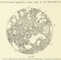 Picture 32 of 34 from An Introduction to the study of Petrology: the Igneous Rocks ... With ... illustrations (1891), leaf 118