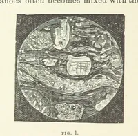 An illustration from An Introduction to the study of Petrology: the Igneous Rocks ... With ... illustrations (1891)