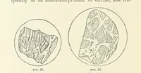 An illustration from An Introduction to the study of Petrology: the Igneous Rocks ... With ... illustrations (1891)