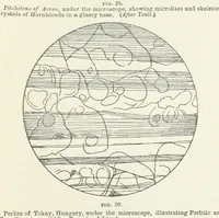 Picture 21 of 34 from An Introduction to the study of Petrology: the Igneous Rocks ... With ... illustrations (1891), leaf 73