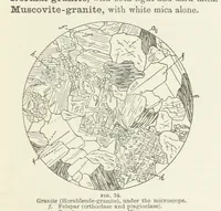 Picture 25 of 34 from An Introduction to the study of Petrology: the Igneous Rocks ... With ... illustrations (1891), leaf 81