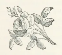 An illustration from Norstone; or, the rifts in the cloud. [A story (1879)