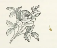 Picture 7 of 9 from Norstone; or, the rifts in the cloud. [A story (1879), leaf 187
