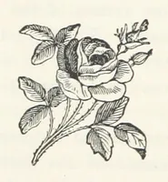 An illustration from Norstone; or, the rifts in the cloud. [A story (1879)