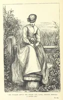 An illustration from The Dove's Nest and other tales. By J. Hatton, R. Jefferies, H. S. Clarke, etc (1886)