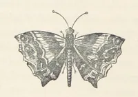An illustration from The History of Ireland, ancient and modern. Derived from our native annals, from the most recent researches of eminent Irish Scholars. ... With copious topographical and general notes (1860)