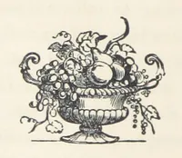 An illustration from The History of Ireland, ancient and modern. Derived from our native annals, from the most recent researches of eminent Irish Scholars. ... With copious topographical and general notes (1860)