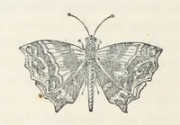 An illustration from The History of Ireland, ancient and modern. Derived from our native annals, from the most recent researches of eminent Irish Scholars. ... With copious topographical and general notes (1860)