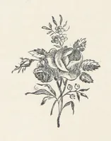 An illustration from The History of Ireland, ancient and modern. Derived from our native annals, from the most recent researches of eminent Irish Scholars. ... With copious topographical and general notes (1860)