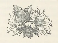 An illustration from The History of Ireland, ancient and modern. Derived from our native annals, from the most recent researches of eminent Irish Scholars. ... With copious topographical and general notes (1860)