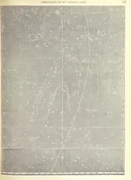 An illustration from Narrative of the Expedition of an American Squadron to the China Seas and Japan, performed in the years 1852, 1853 and 1854, under the command of Commodore M. C. Perry ... by order of the Government of the United States. Compiled from the original notes and journals of Commodore Perry and his officers ... by F. L. Hawks, etc. [With plates, including maps (1856)