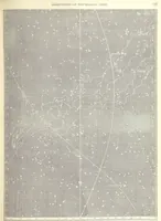An illustration from Narrative of the Expedition of an American Squadron to the China Seas and Japan, performed in the years 1852, 1853 and 1854, under the command of Commodore M. C. Perry ... by order of the Government of the United States. Compiled from the original notes and journals of Commodore Perry and his officers ... by F. L. Hawks, etc. [With plates, including maps (1856)
