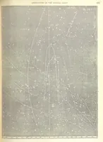 An illustration from Narrative of the Expedition of an American Squadron to the China Seas and Japan, performed in the years 1852, 1853 and 1854, under the command of Commodore M. C. Perry ... by order of the Government of the United States. Compiled from the original notes and journals of Commodore Perry and his officers ... by F. L. Hawks, etc. [With plates, including maps (1856)