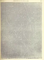 An illustration from Narrative of the Expedition of an American Squadron to the China Seas and Japan, performed in the years 1852, 1853 and 1854, under the command of Commodore M. C. Perry ... by order of the Government of the United States. Compiled from the original notes and journals of Commodore Perry and his officers ... by F. L. Hawks, etc. [With plates, including maps (1856)