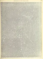 An illustration from Narrative of the Expedition of an American Squadron to the China Seas and Japan, performed in the years 1852, 1853 and 1854, under the command of Commodore M. C. Perry ... by order of the Government of the United States. Compiled from the original notes and journals of Commodore Perry and his officers ... by F. L. Hawks, etc. [With plates, including maps (1856)
