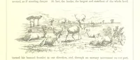An illustration from The Scenery of the Dee, with pen and pencil. Illustrated by A. Gibb ..., further illustrated and described by J. M. H (1884)
