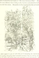 An illustration from The Scenery of the Dee, with pen and pencil. Illustrated by A. Gibb ..., further illustrated and described by J. M. H (1884)