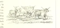 An illustration from The Scenery of the Dee, with pen and pencil. Illustrated by A. Gibb ..., further illustrated and described by J. M. H (1884)