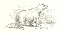 An illustration from La Mer Libre du Pole ... Traduit de l'Anglais et accompagné de notes ... par F. de Lanoye. Ouvrage illustré de 70 gravures, etc (1868)
