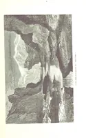 An illustration from La Mer Libre du Pole ... Traduit de l'Anglais et accompagné de notes ... par F. de Lanoye. Ouvrage illustré de 70 gravures, etc (1868)