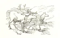 An illustration from La Mer Libre du Pole ... Traduit de l'Anglais et accompagné de notes ... par F. de Lanoye. Ouvrage illustré de 70 gravures, etc (1868)