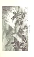 An illustration from La Mer Libre du Pole ... Traduit de l'Anglais et accompagné de notes ... par F. de Lanoye. Ouvrage illustré de 70 gravures, etc (1868)