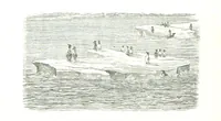 An illustration from La Mer Libre du Pole ... Traduit de l'Anglais et accompagné de notes ... par F. de Lanoye. Ouvrage illustré de 70 gravures, etc (1868)