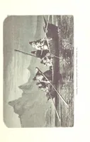 An illustration from La Mer Libre du Pole ... Traduit de l'Anglais et accompagné de notes ... par F. de Lanoye. Ouvrage illustré de 70 gravures, etc (1868)