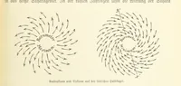 An illustration from Die Erde. Eine allgemeine Erd- und Länderkunde, etc (1896)