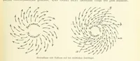 Picture 44 of 350 from Die Erde. Eine allgemeine Erd- und Länderkunde, etc (1896), leaf 113