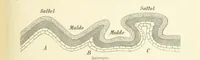 Picture 50 of 350 from Die Erde. Eine allgemeine Erd- und Länderkunde, etc (1896), leaf 137