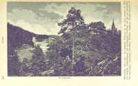 Picture 112 of 350 from Die Erde. Eine allgemeine Erd- und Länderkunde, etc (1896), leaf 278