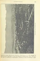 Picture 126 of 350 from Die Erde. Eine allgemeine Erd- und Länderkunde, etc (1896), leaf 307