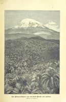 Picture 292 of 350 from Die Erde. Eine allgemeine Erd- und Länderkunde, etc (1896), leaf 737